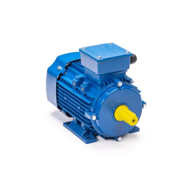 Электродвигатель 5АИ 90 L2 3/3000 IM1082 — изображение 2