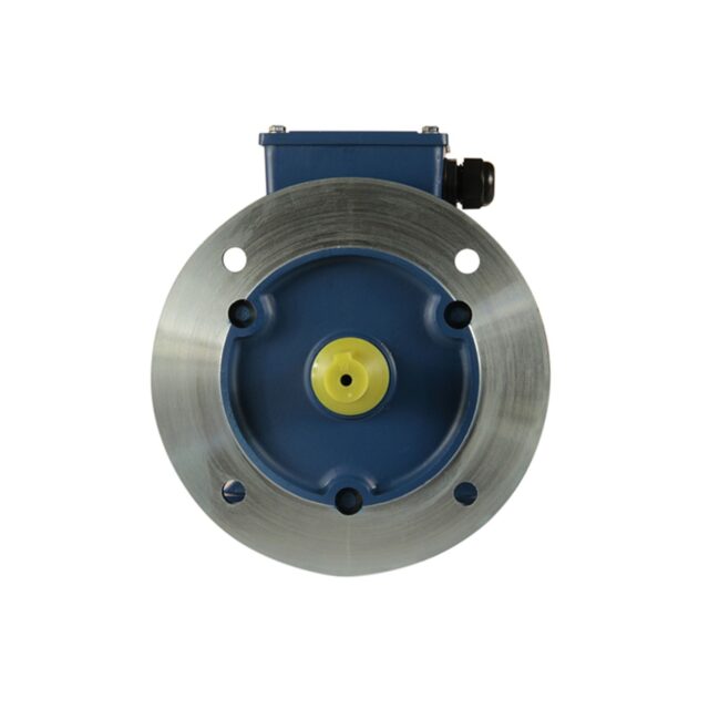 Электродвигатель 5АИ 90 L2 FT115 3/3000 IM2181 — изображение 2
