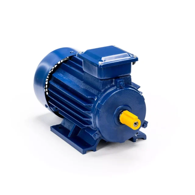 Электродвигатель 5АИ 90 L2 3/3000 IM1081 — изображение 2