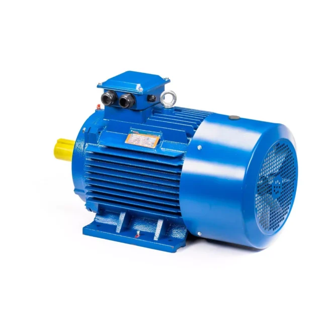 Электродвигатель 5АИ 200 L4 45/1500 IM1001 — изображение 9