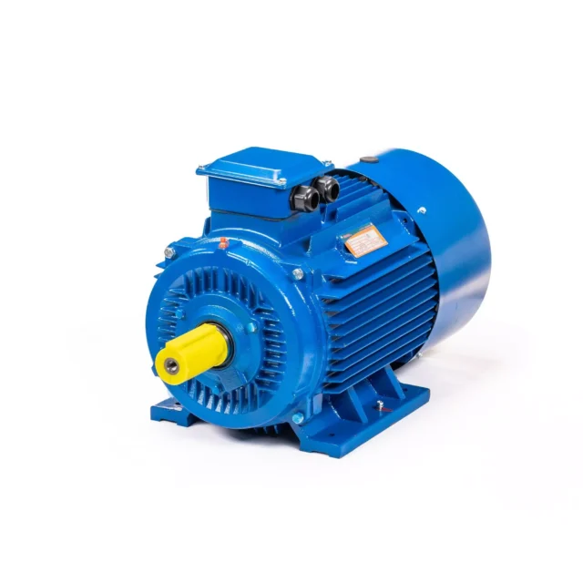 Электродвигатель 5АИ 200 L2 45/3000 IM1001 — изображение 12