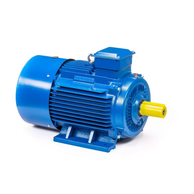 Электродвигатель 5АИ 200 L4 45/1500 IM1001