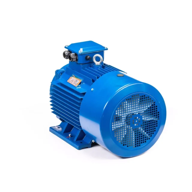 Электродвигатель 5АИ 200 L4 45/1500 IM1001 — изображение 8