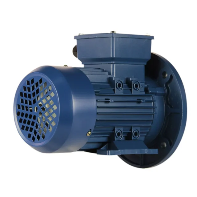 Электродвигатель 5АИ 90 L2 3/3000 IM2081 — изображение 4