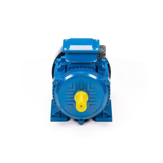 Электродвигатель 5АИ 100 L4 4/1500 IM1081 — изображение 3