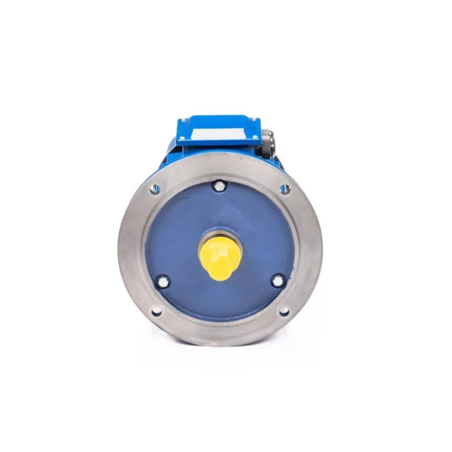 Электродвигатель 5АИ 100 L4 4/1500 IM2081 — изображение 2