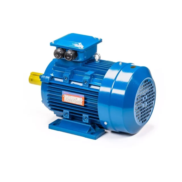Электродвигатель 5АИ 100 L4 4/1500 IM1081 — изображение 9