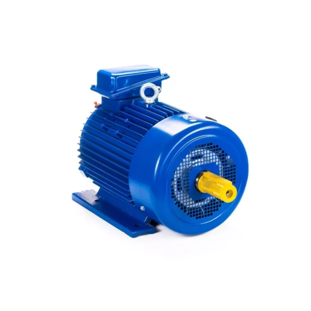Электродвигатель 5МТКН 225 L8 37/750 IM1003 — изображение 2
