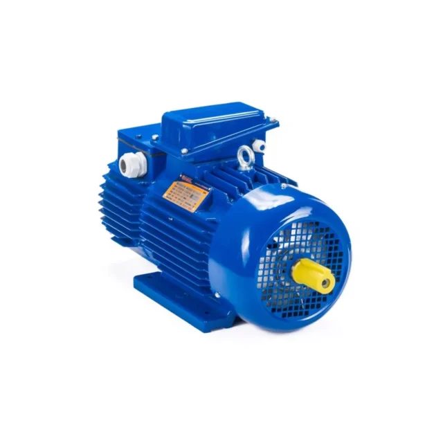 Электродвигатель 5MTH 200 LB8 22/750 IM1003 — изображение 2