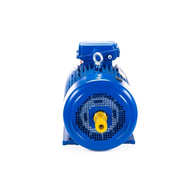 Электродвигатель 5MTКH 200 LB8 22/750 IM1003 — изображение 3