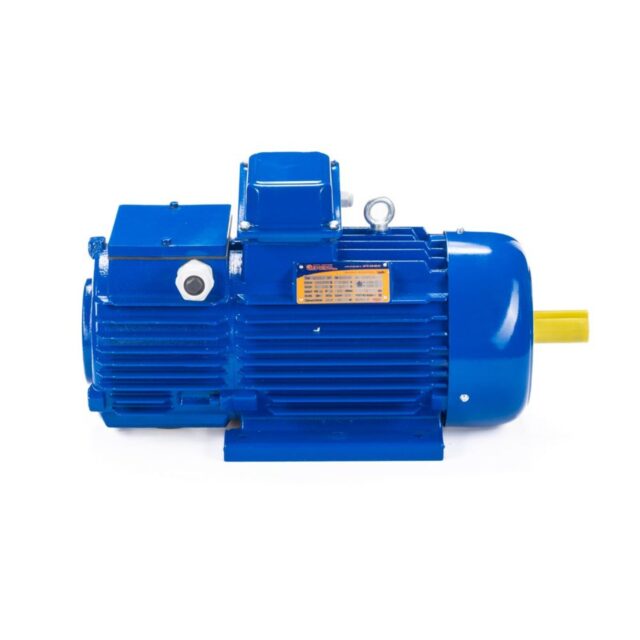 Электродвигатель 5MTH 400 М10 132/600 IM1004 — изображение 4