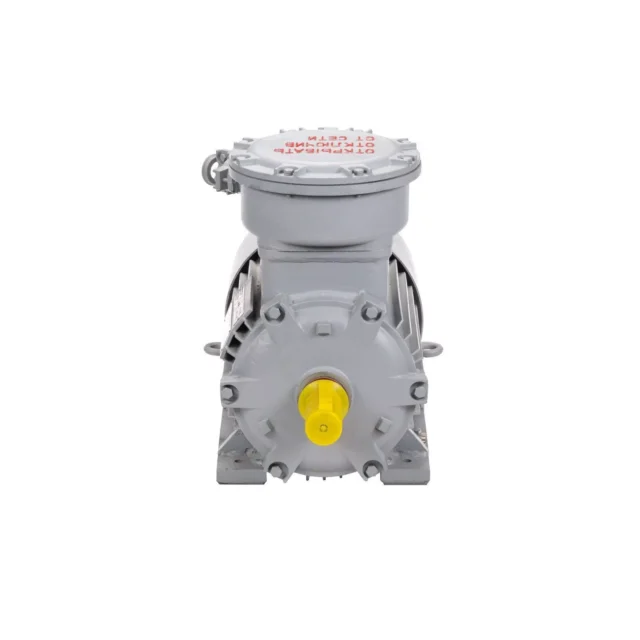 Электродвигатель АИМУР 200 L8 660/1140V, PBExdI Mb, класс изоляции Н, РТС (статор), подшип, SKF, 22/750 IM1001 — изображение 2