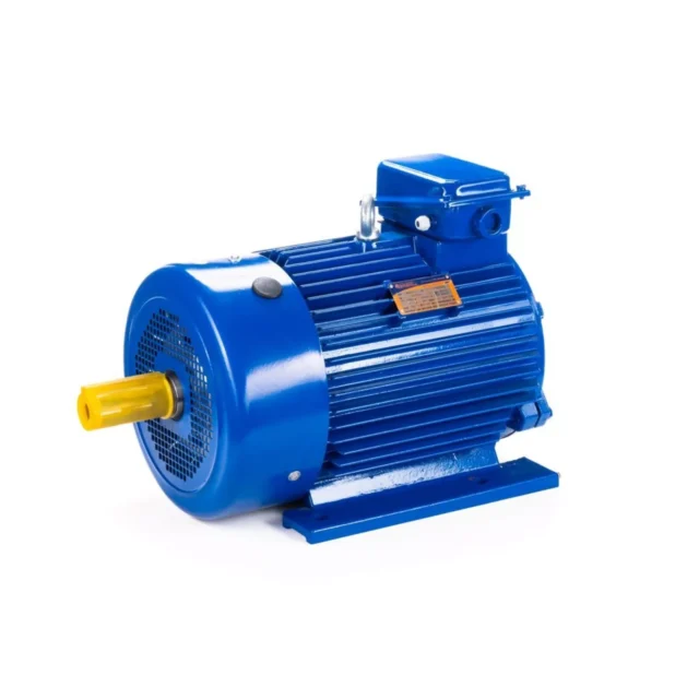 Электродвигатель 5MTКH 200 LB8 22/750 IM1003 — изображение 11