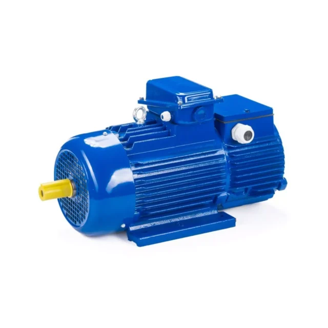 Электродвигатель 5MTH 200 LB8 22/750 IM1003 — изображение 11