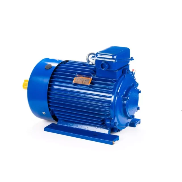 Электродвигатель 5MTКH 200 LB8 22/750 IM1003 — изображение 9