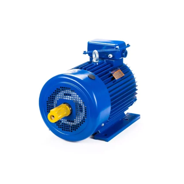Электродвигатель 5MTКH 200 LB8 22/750 IM1003 — изображение 12
