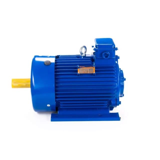 Электродвигатель 5MTКH 200 LB8 22/750 IM1003 — изображение 10