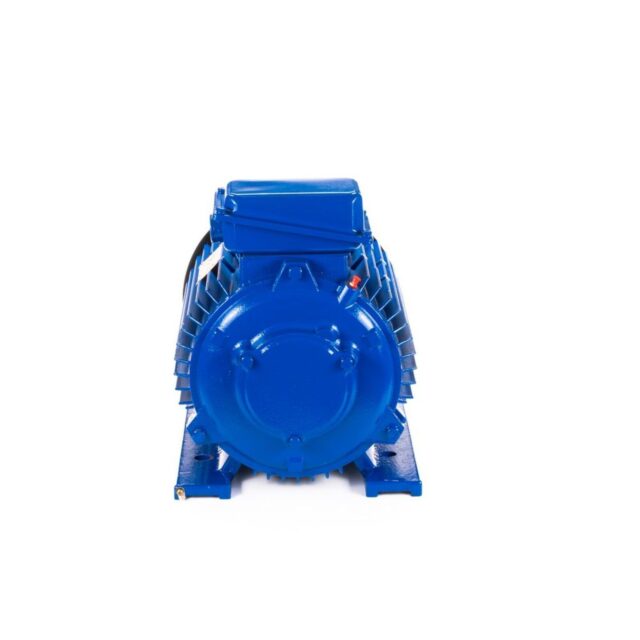 Электродвигатель 5MTКH 200 LB8 22/750 IM1003 — изображение 7