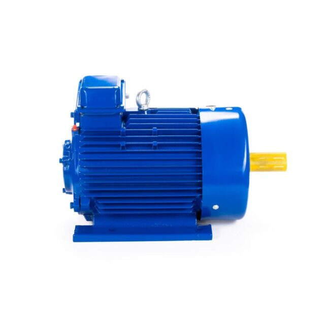 Электродвигатель 5MTКH 200 LB8 22/750 IM1003 — изображение 4
