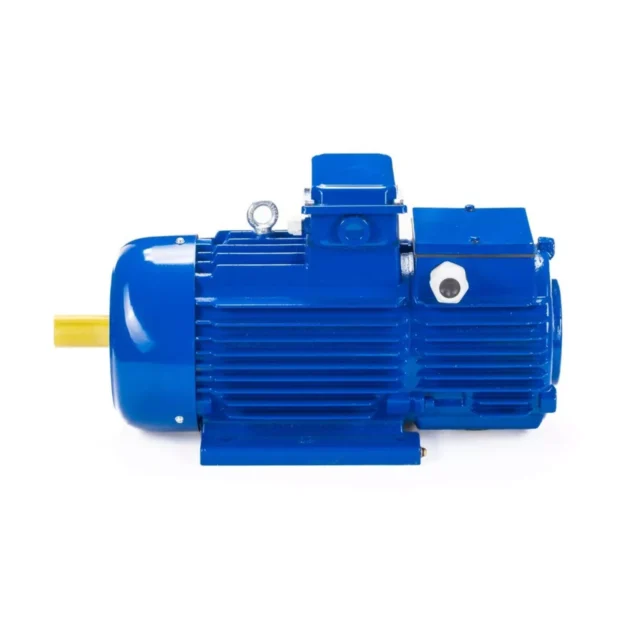 Электродвигатель 5MTH 200 LB8 22/750 IM1003 — изображение 10