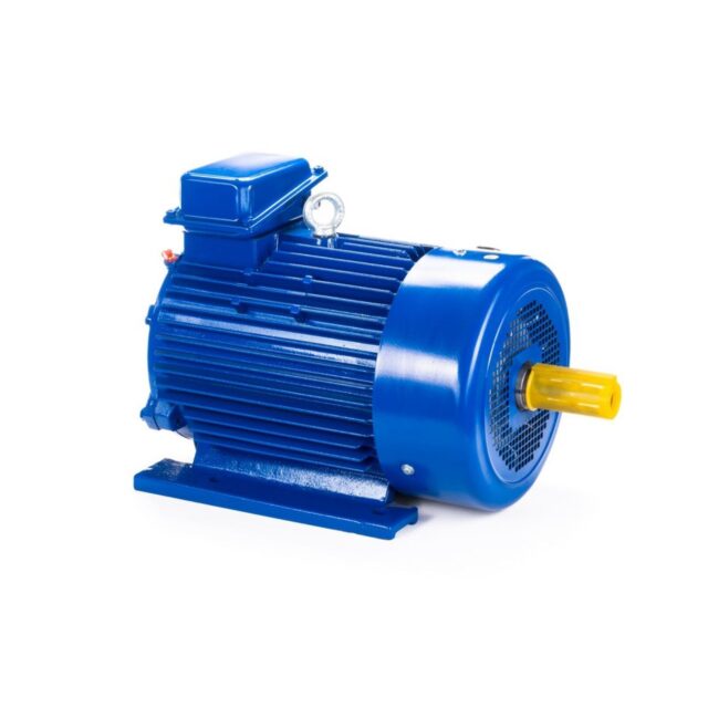Электродвигатель 5MTКH 200 LB8 22/750 IM1003