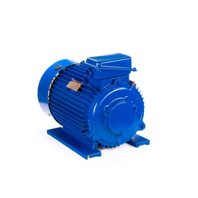Электродвигатель 5МТКН 225 L8 37/750 IM1003 — изображение 8