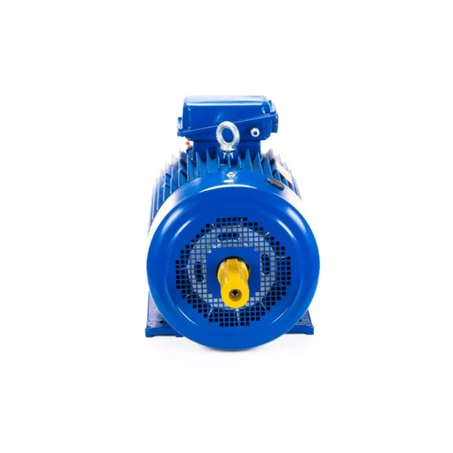 Электродвигатель 5МТКН 200 LB6 30/1000 IM1003 — изображение 3