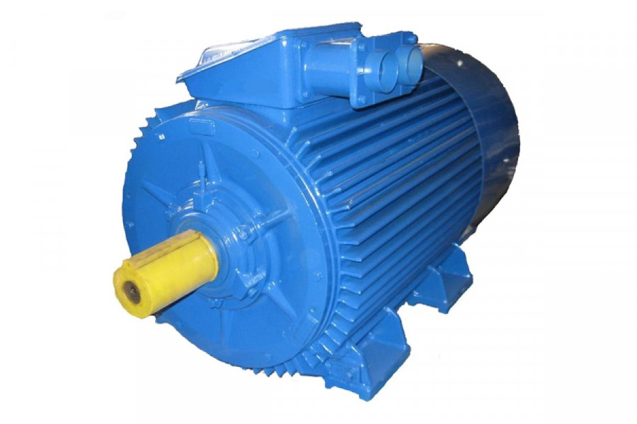 Электродвигатель 5АМ 180 М4