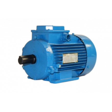 Электродвигатель ОАО «Могилевский завод «Электродвигатель»